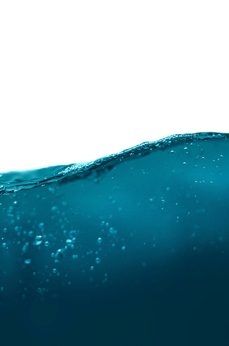 HOLVEX M50+ Wasserstandssensor